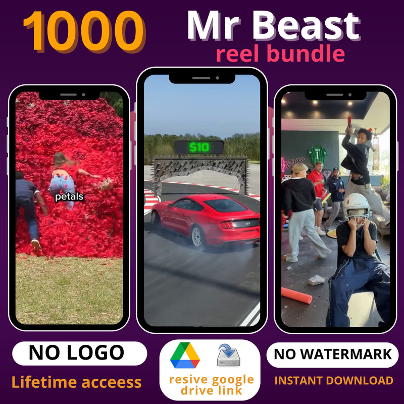 Mr Beast reel bundle